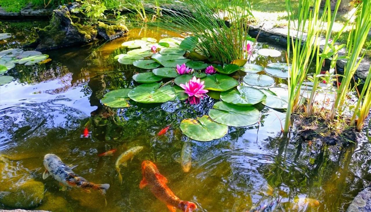 Gite Pause Au Jardin Piscine Chauffee Saint-Branchs Dış mekan fotoğraf