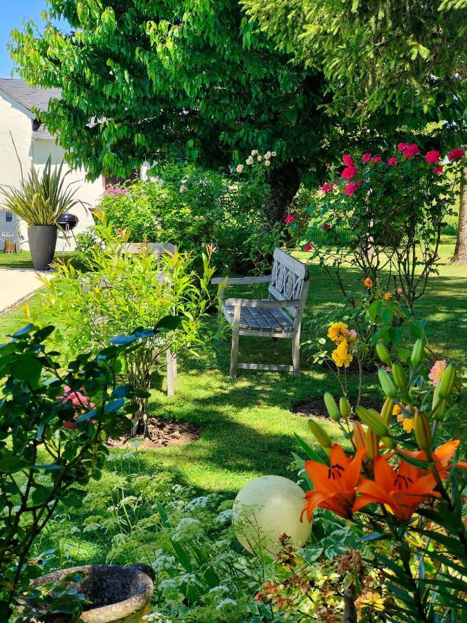 Gite Pause Au Jardin Piscine Chauffee Saint-Branchs Dış mekan fotoğraf